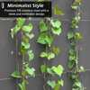 Wire Trellis for Climbing Plants Outdoor, 20-Set Wall Wire Trellis