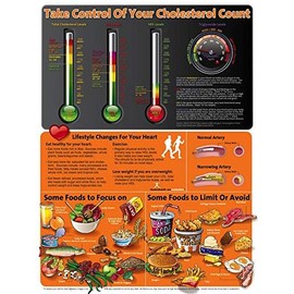 About Your Cholesterol Poster 18" x 24" Laminated