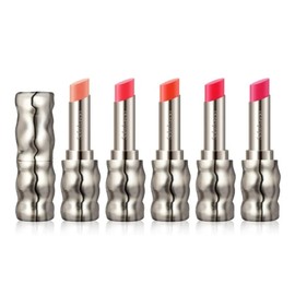 Perfecting Color Balm Lipstick 5 Colors No. 310 Terra / 퍼펙팅 컬러밤 립스틱 5color 310호 테라