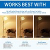 ANWIO B11 LED Filament Bulb E12 Candelabra Medium Base 2700K