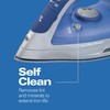 Hamilton Beach Steam Iron & Vertical Steamer for Clothes with