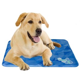 Holland Animal Care Coolpets Cool Dog Mat - M - 50 x 40cm