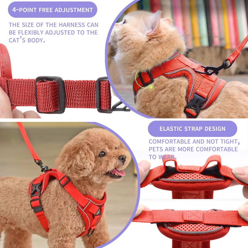 Tikxlafe Cat Harness with Leash, 150 cm, Cat Leash with