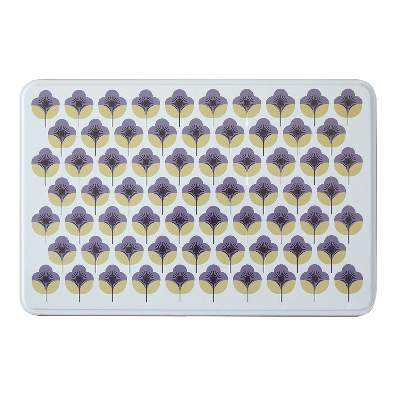 Premier Housewares Kitchen Storage Tin, Rectangular, Multi-Colour, Set of 2