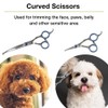 Professional 5 in 1 Dog Grooming Scissors Set with Safety