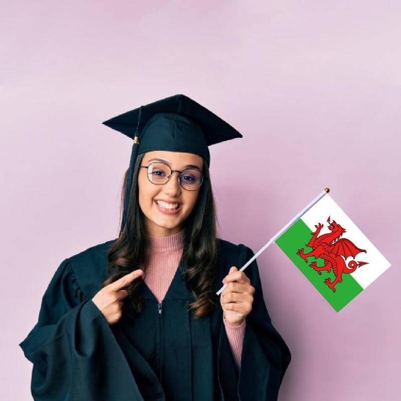 MacLand 25PCS Welsh Handheld Small Flag, Welsh Hand held Mini