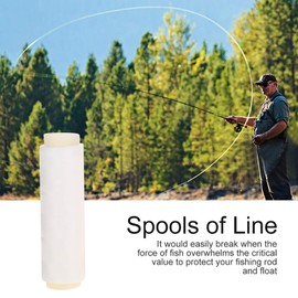 Fishing Line, 200 m Braided Fishing Line, Transparent, Fishing Tendon Nylon Line, Bait Thread, Fishing Tackle Accessories, Elastic Thread for Hanging Decorations, Beads and Crafts for Sea Fishing
