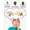 4 in 1 STEM Kits, Wooden Construction Science Kits, STEM