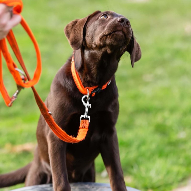 6 Pack Swivel Eye Bolt Snap Hooks for Pet Leash,
