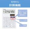 Canon ミニ卓上サイズ LS-101T 10桁 フラットデザイン 電池交換可 抗菌