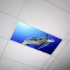 Octo Lights - Fluorescent Light Covers - Classroom, Office, Home