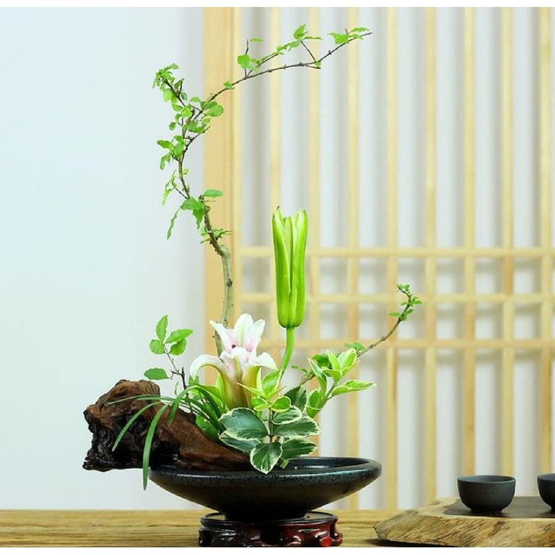 Basin Flower Vase for Fresh Flowers, Ceramics, Black, Vase, Flower