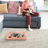 Cat Beds for Indoor Cats,Washable Cat Mat Calming Dog Crate