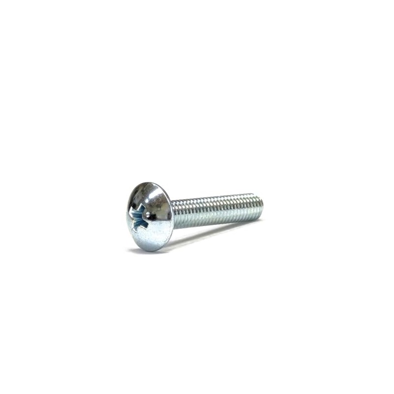 [M5x25] Truss head small screws (10 pieces) zinc plated