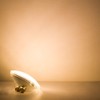 Haian Support Water Resistant PAR36 LED Landscape Bulb,9W 900LM 3000K