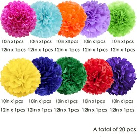 Colorful Tissue Paper Flowers Decorations for Birthday Mexican Party Party Decor Ceiling Wall Hanging Tissue Pom Poms 20pcs