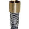 1 in. Brass Foot Valve