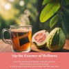 Natural Guava Leaf Tea Bags- 75 Ct, Te De Hojas