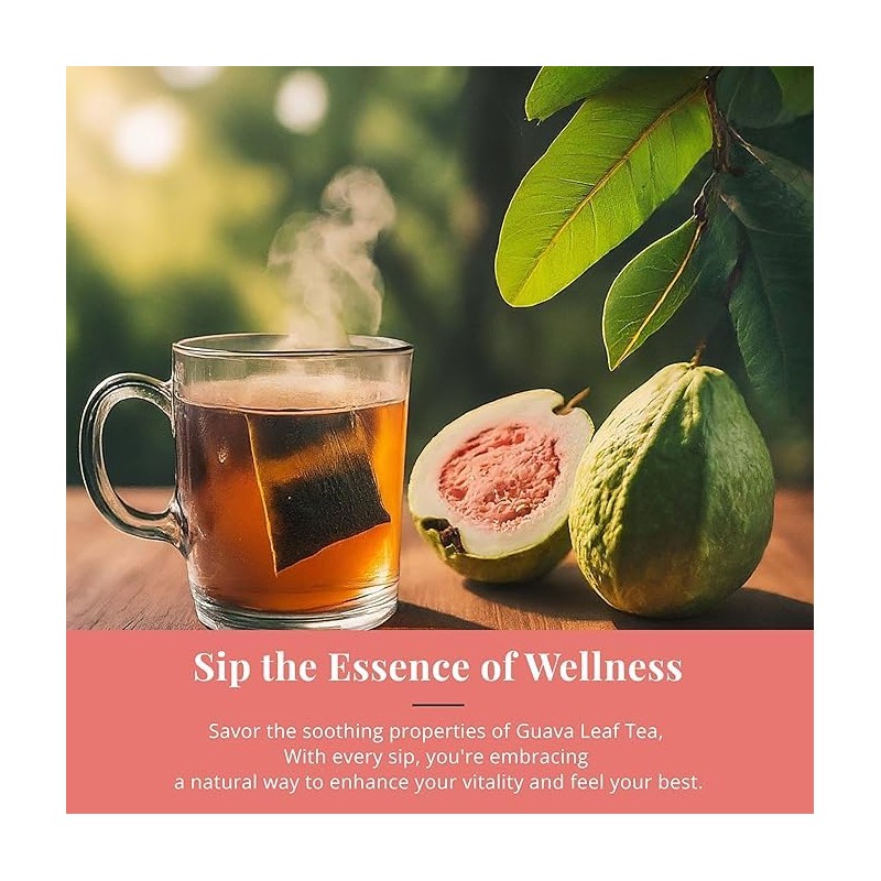 Natural Guava Leaf Tea Bags- 75 Ct, Te De Hojas