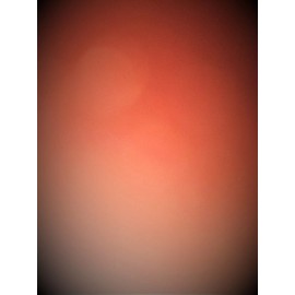 PROSPECT Motorcycle Title Rank Tag Embroidered Iron On Patch  White Font