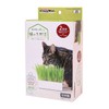 Catty Man Grown at Home, Raw Cat Vegetables, 2 Servings