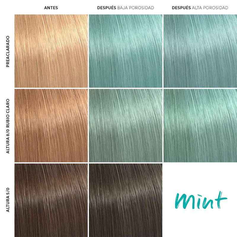 WELLA Colour Fresh Mask Mint 150 ml
