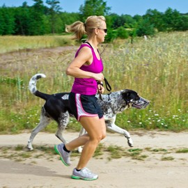 PETCUTE Dog Muzzle Metal Muzzle Dog Muzzle Anti Biting Barking Eating Muzzle Safety Durable Dog Muzzle