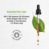 Secrets of the Tribe Secrets of the Tribe Fingerroot Tincture