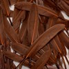 FeelfunFeather 120pcs Coffee Brown Goose Cochettes Feather Natural bulk 4-6
