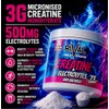 Rival Creatine Monohydrate + Electrolytes Powder 250g (71 Servings) –