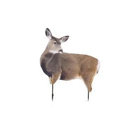 MONTANA DECOY Miss Muley