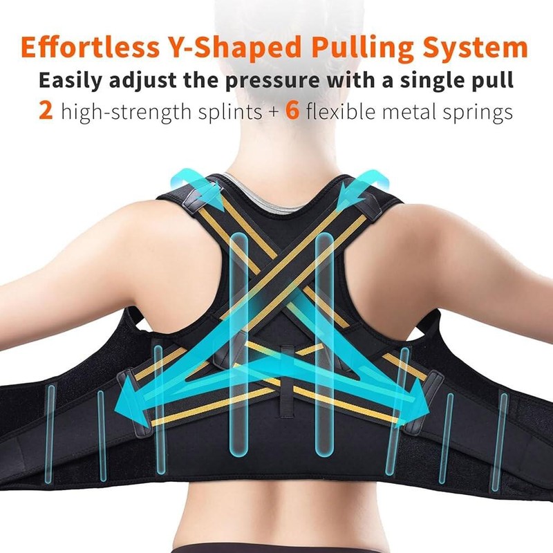 FALCOFIT 남녀용 FALCOFIT 교정기, 즉각적인 허리 조절 가능한 상부 눈에