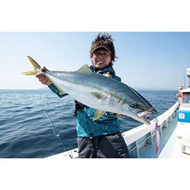 JACKALL G207 Metal Jig, Bumble's Jig, Semi-Long, 4.2 oz (120 g), Pink Back/Magma Wave Holo