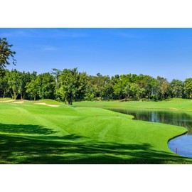 Loccor Fabric 7x5ft Golf Course Backdrop Lake Forest Trees Lawn Bunker Photography Background Golf Birthday Party Decorations Sports Holiday Vacation Banner for Adults Photo Shoot Props