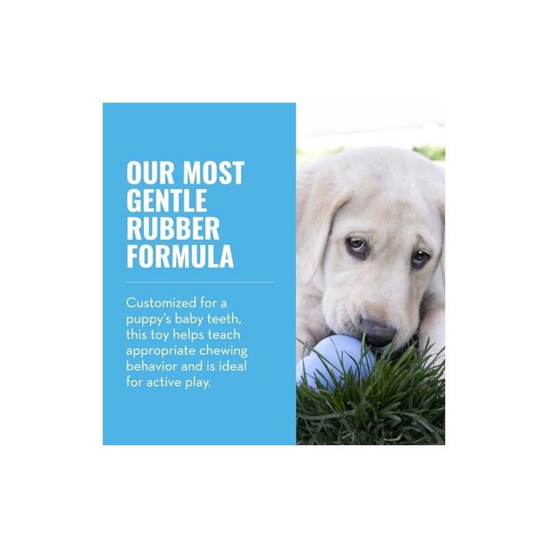 Kong Juguete para Cachorros, extra pequeño (El Color puede Variar)