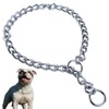 Chain Choker Collar for Dogs, Metal Slip Link Training Dog
