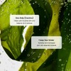 Biodance [Biodance]Refreshing Sea Kelp Serum 30ml