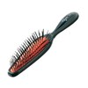 Roger Para Maestro pneumatic brush, 6 ranks