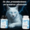 Creatina Glutamina Linx Fit 1kg 50 Servicios Varios Sabor