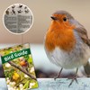 Wall Clock STARLYF Birdsong Clock, Original, With 12 native songbirds,