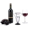 SagaSave 100ml Capacity Conundrum Aerator for Wine Decanters, Double Handles
