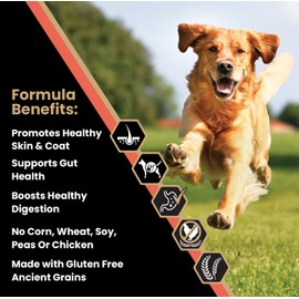 VICTOR Super Premium Dog Food — Sensitive Skin and Stomach — Salmon Meal & Brown Rice Recipe Dry Kibble — Gluten Free, No Chicken, Ideal for Dogs with Allergies — Adult and Puppy Food, 5 lb