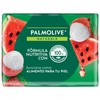 BS PO Naturals Watermelon w Lychee 4x120gr