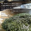 Shizuoka Tea No Daisan 2023 New Tea Saemidori Made in