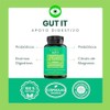Gut it Probiotic Suplemento Natural Probióticos, Prebióticos, Enzimas Digestivas, Citrato