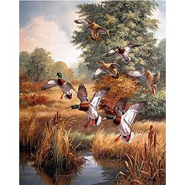 WOWDECOR Paint by Numbers Kits for Adults Kids, Number Painting - Ducks Forest Lake 16x20 inch (Frameless)