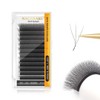 NAGARAKU W Eyelash Extensions Premade Volume Fans 0.07mm 3D Cluster