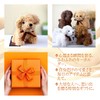 Amily, 4 Types of Plush Dogs, Keychain, Ribbon, Fluffy, Cute,