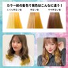 Schwarzkopf got2b Color Cream Hair Conditioner with Gloves Attached Neon