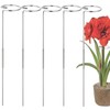 30 Inch Or 16 InchPlant Stakes for Flowers - 5